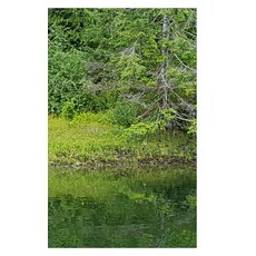 (英文圖書) Tahsis Inlet Outlet Revival Anthology 2020 Black and white Edition: Green Antler presents 202... 平裝版, Blurb, 英文