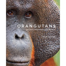 (英文圖書) Orangutans: Their History Natural History and Conservation 精裝版, Firefly Books, 英文