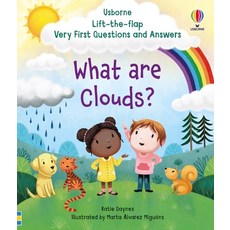 (英文圖書)Very First Questions and Answers What Are Clouds? Board Books, Usborne Books, 英文, 硬頁書