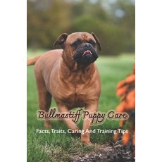 (英文圖書) Bullmastiff Puppy Care: Facts Traits Caring And Training Tips: Bullmastiffand Breeding 平裝版, Independently Published, 英文
