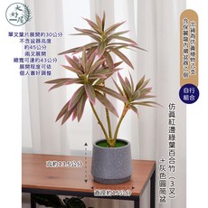 大好屋仿真百合竹觀葉植物盆組，仿真綠植室內裝飾，免澆水人造盆栽，拍照道具, 紅邊綠葉, 1個