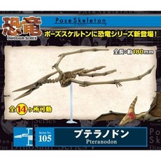 大旺小舖:日本正版Re-Ment食玩骨頭人骨頭恐龍無齒翼龍No.105科學教具搭配黏土人生日結婚母親節情人節聖誕交換禮物