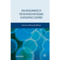 New Developments of the Exchange Rate Regimes in Developing Countries 平裝版, Palgrave MacMillan, 英文