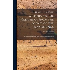 (英文圖書) 'israel in the Wilderness' Or Gleanings From the Scenes of the Wanderings: With an Essay On... 精裝版, Legare Street Press, 英文