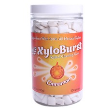 Focus NUTRITION 木糖醇口香糖 500入, 750g, 1罐