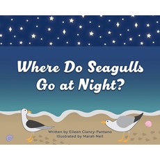 (英文圖書)Where Do Seagulls Go at Night? 精裝版, Briley & Baxter Publications, 英文