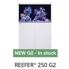 紅海 Red Sea REEFER 250 G2 超白玻璃套缸組 90x50x53cm 魚缸 黑/白