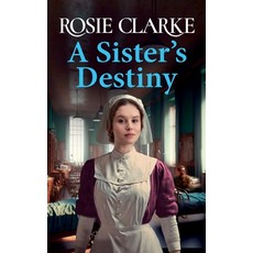 (英文圖書) A Sister's Destiny 精裝版, Boldwood Books Ltd, 英文