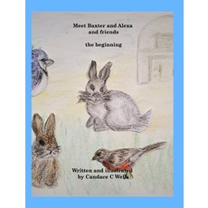 (英文圖書) Meet Baxter and Alexa and friends 精裝版, Blurb, 英文