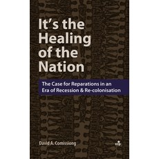 (英文圖書) It's the Healing of the Nation: The Case for Reparations in An Era of Recession and Re-Coloni... 平裝版, Independently Published, 英文