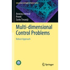 (英文圖書) Multi-Dimensional Control Problems: Robust Approach 平裝版, Springer, 英文