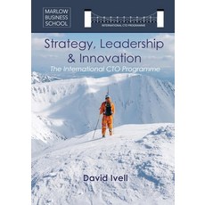 (英文圖書) The International CTO Programme: A Blueprint for Technology Strategy Leadership and Innovation 平裝版, Pocket Book Company, 英文
