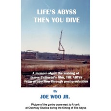 (英文圖書) Life's Abyss Then You Dive 平裝版, Joe Woo, Jr, 英文