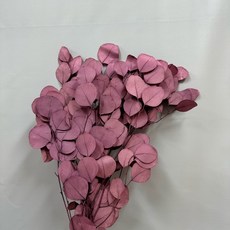 W&T花藝資材 台灣現貨 永生圓葉尤加利葉 蘋果葉 乾燥花 永生花 花材, 嫣紫