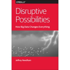 (英文圖書) Disruptive Possibilities: How Big Data Changes Everything 平裝版, O'Reilly Media, 英文