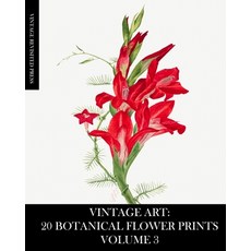 (英文圖書) Vintage Art: 20 Botanical Flower Prints Volume 3: Ephemera for Framing Junk Journals Mixed ... 平裝版, Blurb, 英文