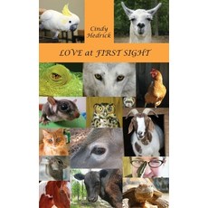 (英文圖書) Love at First Sight 精裝版, Class LLC, 英文