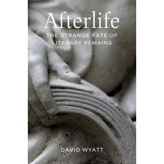 (英文圖書) Afterlife: The Strange Fate of Literary Remains 平裝版, LSU Press, 英文