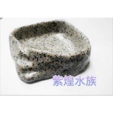 現貨 龍爵士水族水盆 Z15 (大)(小) 寵物飲水盆 爬蟲水盆