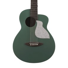 aNueNue MC10 彩色吉他 36吋 雲杉面單板 兒童初學吉他 (贈送多樣初學好禮), 森林綠