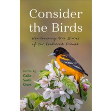 (外文書) Consider the Birds: Heartwarming True Stories of Our Feathered Friends Paperback, Fleming H. Revell Company, English