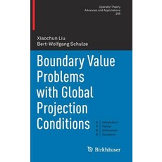 (英文圖書) Boundary Value Problems with Global Projection Conditions 精裝版, Birkhauser, 英文