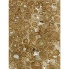 真正泰國洞內料魚卵龍宮舍利。稀有魚卵狀。珍藏傳家之寶。全球稀少。, 詳見包裝