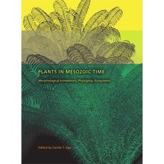 (英文圖書) Plants in Mesozoic Time: Morphological Innovations Phylogeny Ecosystems 精裝版, Indiana University Press, 英文