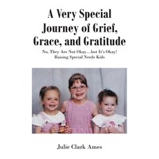 A Very Special Journey of Grief Grace and Gratitude: No They Are Not Okay...but It's Okay! Raisin... 平裝版, Newman Springs Publishing, Inc., 英語