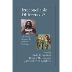 (英文圖書) Irreconcilable Differences? a Learning Resource for Jews and Christians 精裝版, Routledge, 英文