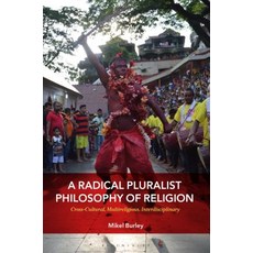 A Radical Pluralist Philosophy of Religion Cross-Cultural Multireligious Interdisciplinary 精裝版, Bloomsbury Publishing PLC, 英文