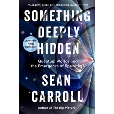 (英文圖書) Something Deeply Hidden: Quantum Worlds and the Emergence of Spacetime 平裝版, Dutton Books, 英文