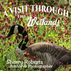 (英文圖書) A Visit Through the Wetlands 平裝版, Solander Press, 英文