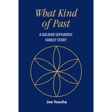 (英文圖書) What Kind of Past 平裝版, Jewishgen.Inc, 英文