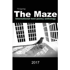 (英文圖書)Navigating the Maze 平裝版, Adonis Designs Press, 英文
