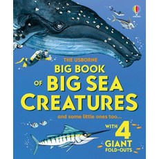 (英文圖書)Big Book of Big Sea Creatures 精裝版, Usborne Books, 英文