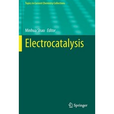 Electrocatalysis 平裝版, Springer, 英文