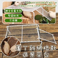 蘆丁雞網格款造景平台 - 飼養箱適用 小雞置物架/爬梯, 詳見包裝, 詳見包裝, 蘆丁雞造景平台 網格爬梯款（一組）