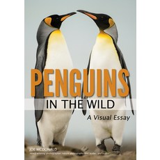 (英文圖書)Penguins in the Wild 平裝版, Amherst Media, 英文