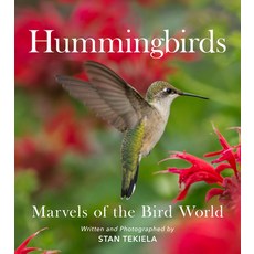 (英文圖書) Hummingbirds: Marvels of the Bird World 平裝版, Adventure Publications, English
