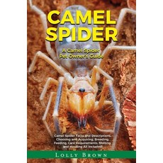 (英文圖書) Camel Spider: A Camel Spider Pet Owner's Guide 平裝版, Nrb Publishing, 英文
