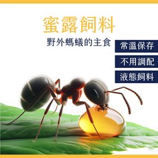捕蟻人 蜜露飼料 模擬野外螞蟻主食 免調配 常溫保存 吸引力強