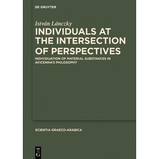 (外文書) Individuals at the Intersection of Perspectives: Individuation of Material Subst... Hardcover, de Gruyter, English
