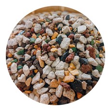 頂級優菌多肉土(不含植物纖維) - 多肉植物專用土，透氣排水，富含益生菌, 1個, 1L