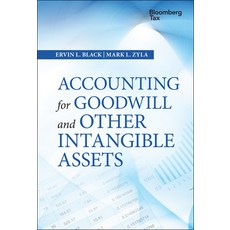 Accounting for Goodwill and Other Intangible Assets 精裝版, Wiley, 英文