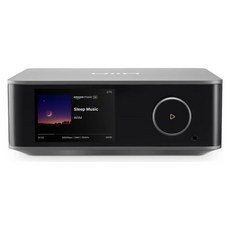 WiiM Ultra 無線串流播放器/無損串流數位轉盤DAC-台灣公司貨二年保固, 灰色