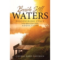 (英文圖書) Beside Still Waters: Discovering Peace in the Midst of Your Child's Addiction 平裝版, XL Project, Inc, 英文