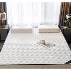 維納斯家居生活 乳膠按摩記憶棉床墊 親膚透氣 舒適支撐 針織白 10公分厚 可折疊, 針織白10cm