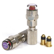 Panaracer PA 450 KPA空氣檢查適配器 2個入, 1個, 金+銀