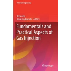 (英文圖書) Fundamentals and Practical Aspects of Gas Injection 精裝版, Springer, 英文